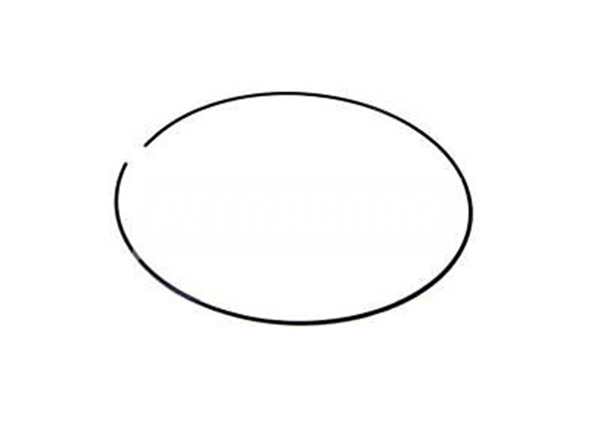 ANEL SEGURANCA SUPORTE PLANETARIO CÂMBIO ZF 16S-1650 221 (2T0323157)