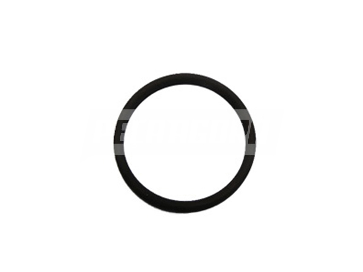 ANEL ORING EMBOLO REDUZIDA VITON VW 26220 26260 26300 26310 FORD 1723 1728 1729 