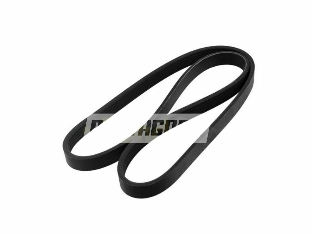 CORREIA 8PK2780 DE ACESSORIOS MULTI V CONTINENTAL (8PK2780)