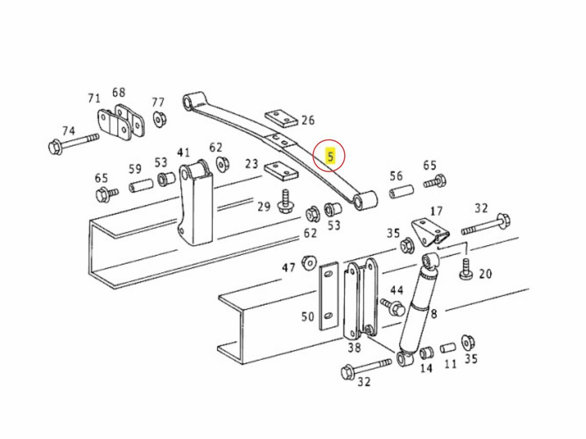 FOLHA DE MOLA (3883177085)