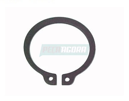 CAIXA 20  ANEL TRAVA DO EIXO PILOTO PARA SCANIA (CX.804783**20)