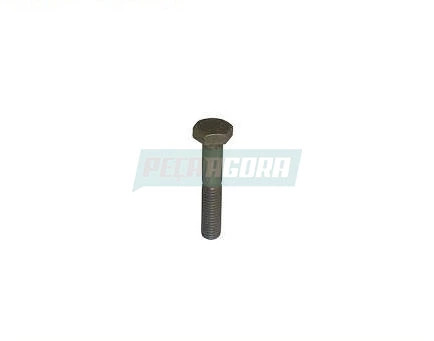 CAIXA 2  PARAFUSO DO COLETOR DE ESCAPE 10X55 DIVERSOS (CX.931010258**2)