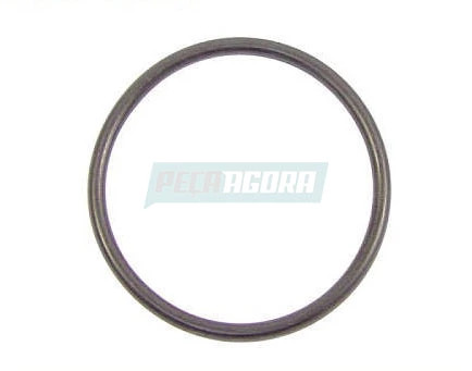 ANEL INTERNO DA PORCA DO SETOR DE DIRECAO MERCEDES BENZ OM 366 (3449970445)