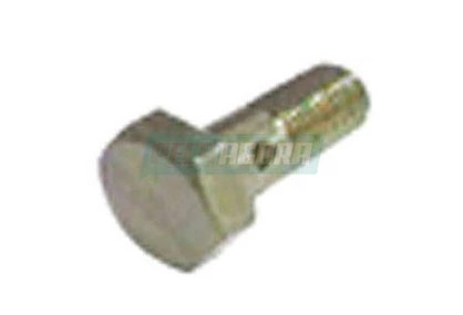 PARAFUSO BANJO VAZADO 10X1X23.5 COM 2 FUROS PARA SCANIA (278082)