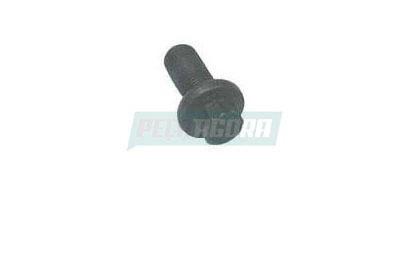 CAIXA 10  PARAFUSO DO CARDAN 12X1,25X25MM MERCEDES BENZ (CX.6969907201.,.**10)