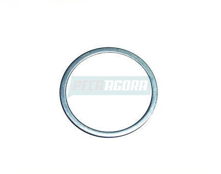 ARRUELA BUJAO TAMPA CUBO TRASEIRO 43.3X51.8X2MM (007603045100)