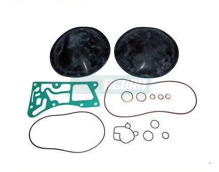 REPARO VEDACAO RETARDER MB ACTROS AXOR MODELO WOIT VR115 (0004303568)