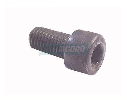 CAIXA 5  PARAFUSO DO ACOPLAMENTO ESCAPE 10X1.5X20 8.8 ALLEN PARA SCANIA 111 112 