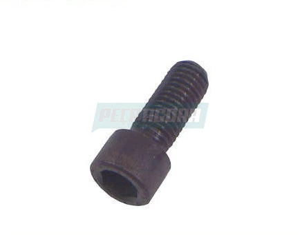 CAIXA 10  PARAFUSO ALLEN 12X1.75X30 10.9 (CX.000912012003**10)