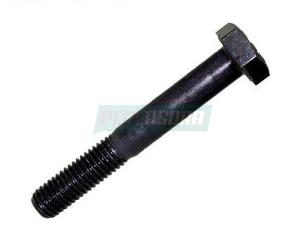 CAIXA 2  PARAFUSO SUPORTE VALVULA APU M12X1,5X80 (CX.910000000000C**2)