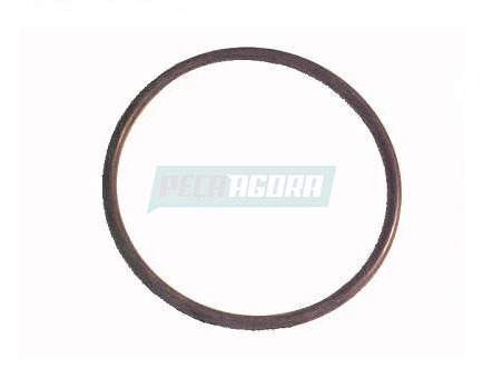 ANEL DO FILTRO ROTATIVO 59X3MM PARA SCANIA (332119)