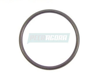 ANEL FILTRO ROTATIVO PARA SCANIA (197800)