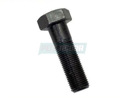 CAIXA 10  PARAFUSO COM APLICACOES DIVERSAS 16X1.5X55 8.8-960 (CX.000960016249**1