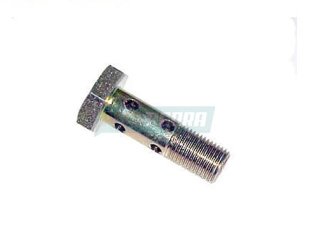 PARAFUSOCDO BANJO VAZADO 10X1.0X35 8 FUROS PARA SCANIA (279243)