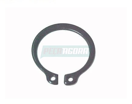 CAIXA 50  TRAVA PINO DO PATIM 22X1.2 MM (CX.000471022000**50)