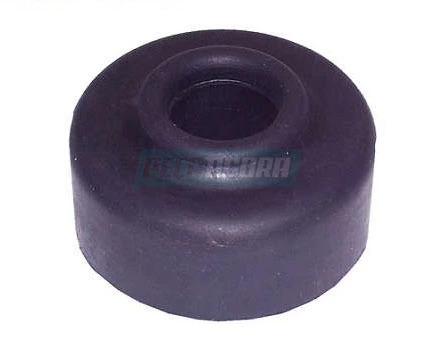 CAIXA 10  BORRACHA AMORTECEDOR DE SUSPENSAO A AR 20X55MM PARA SCANIA (CX.535447-