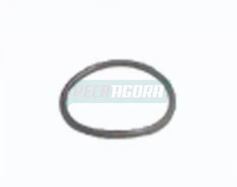 CAIXA 20  ANEL DE VEDACAO DA CANECA PARA SCANIA 110 111 112 (CX.244446**20)