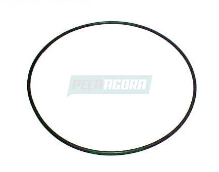 ANEL DO CUBO DA RODA TRASEIRA 255X5 SILICONE VERDE (0169974048A)