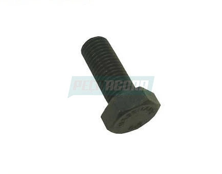 CAIXA 10  PARAFUSO DE FIXACAO DO MANCAL EIXO SUPERIOR 12X1.5X30 8.8 933 PARA SCA