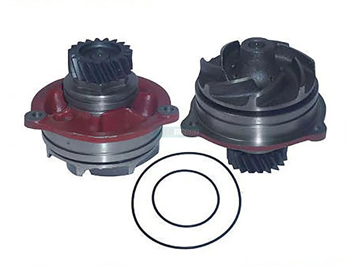BOMBA D'AGUA COM RANHURA ORING 16MM 19 DENTES PARA IVECO EUROTRUCK 1997 EUROTECH