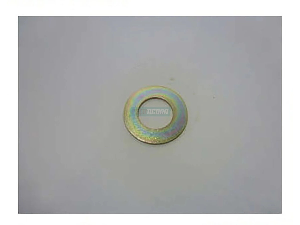 ARRUELA ENCOSTO EIXO S FORD CARGO 815 (2RD607053.-)