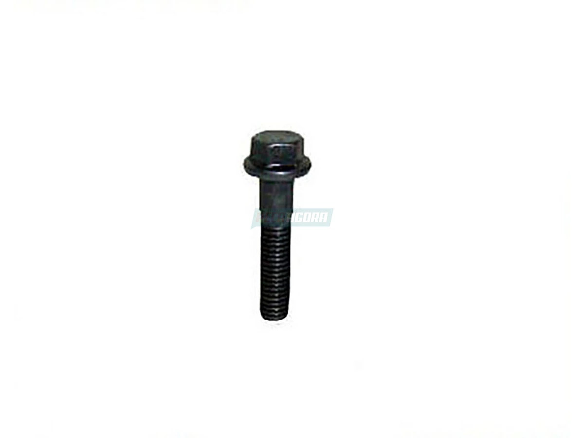 PARAFUSO COLETOR ESCAPE 10X45-1,50 DLK VW 14200 14150 12140T 12180 14180 17240 B