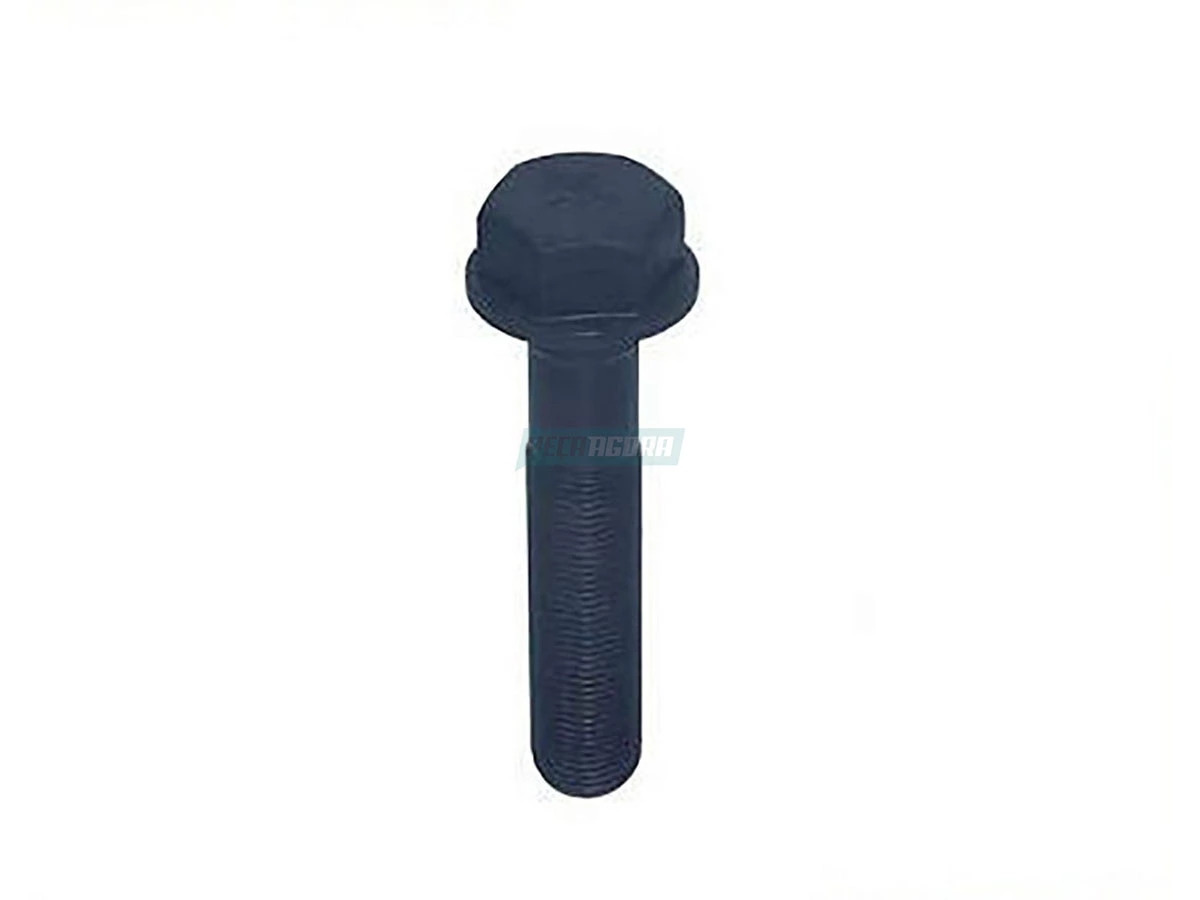 CAIXA 2 PARAFUSO SEXTAVADO TENSOR 24X2X120MM 10.9 SEM FLANGE MB AXOR (CX.0149901