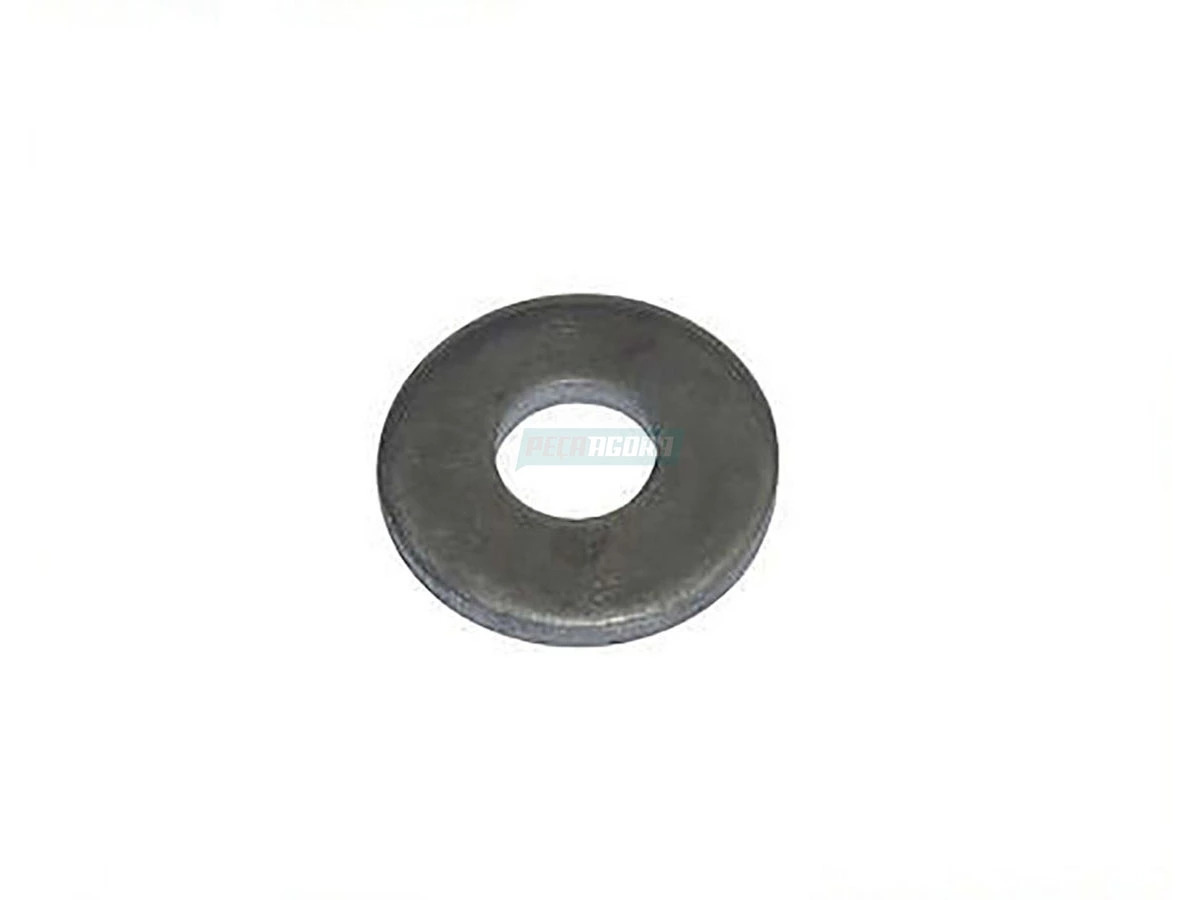 CAIXA 100 ARRUELA FURO 17MM COXIM CABINE MB REPARO BR1237 (CX.6889907140.**100)