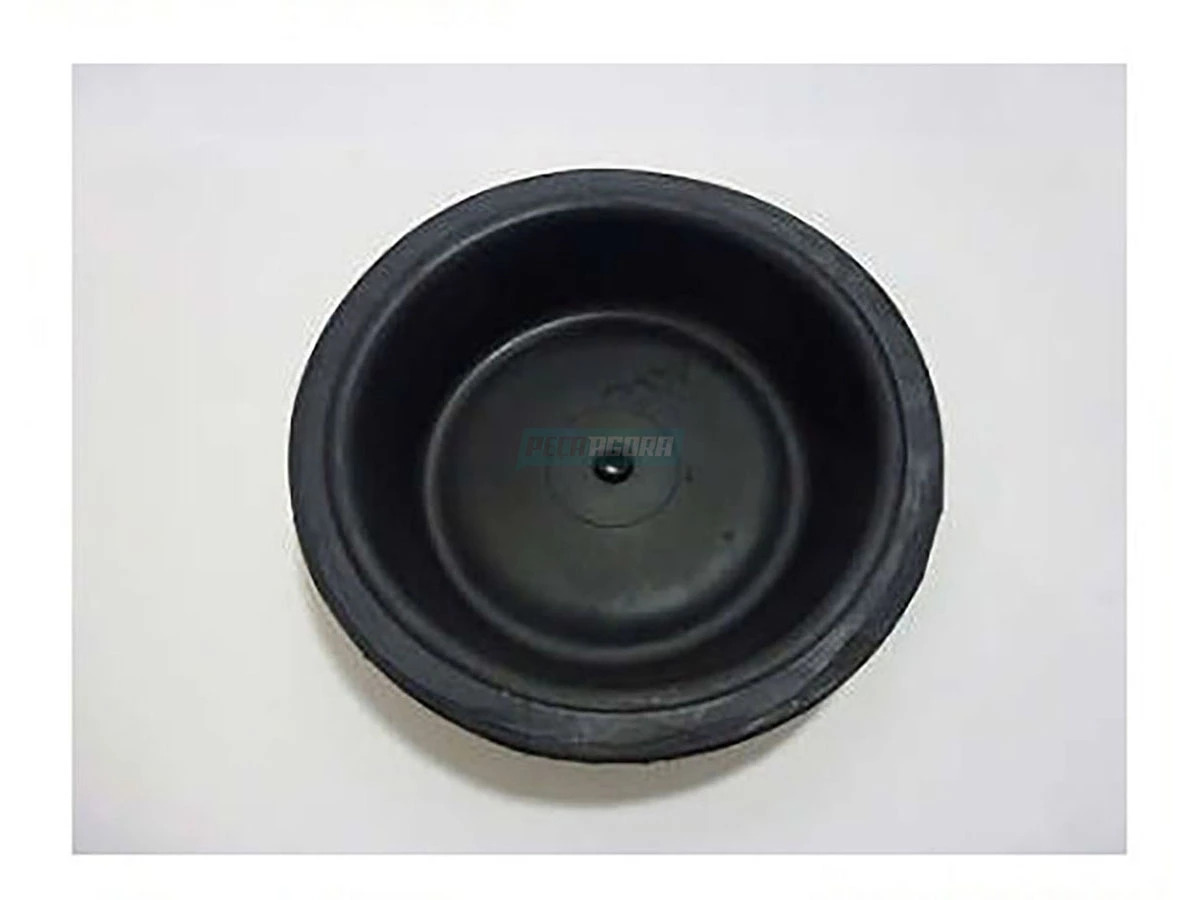 REPARO SPRING BRAKE SEM DIAFRAGMA TIPO 24/30 VW ONIBUS 17 18 TONELADAS FORD CAMI