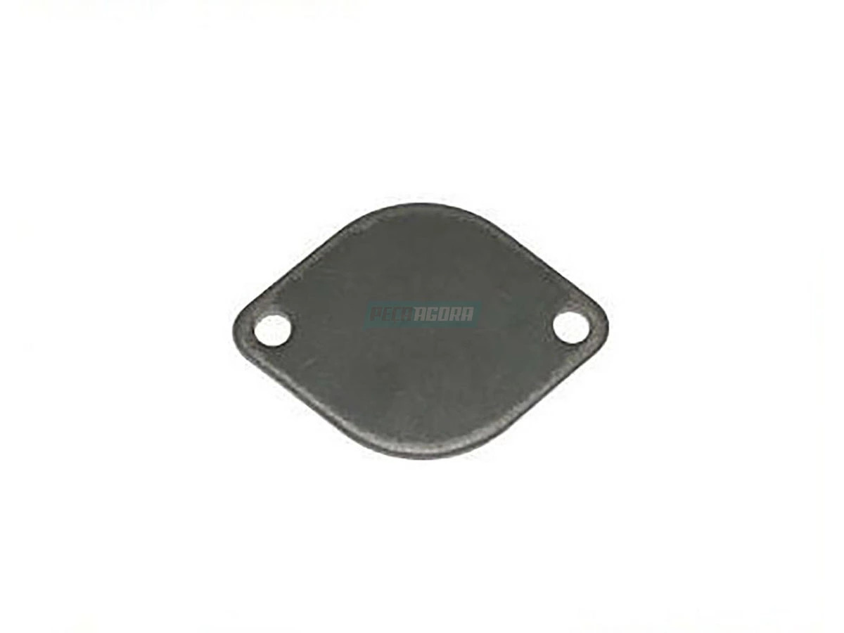 TAMPA LISA PINO MANGA DE EIXO 72X50 VW 7100 8150 (2TA407375.)