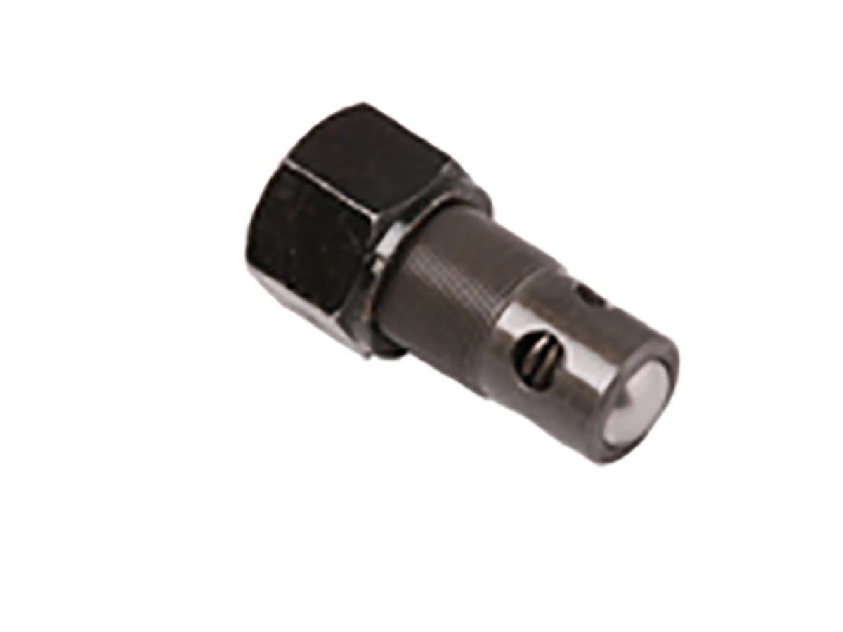 VALVULA ALIVIO MWM X10 (TAE115421.)