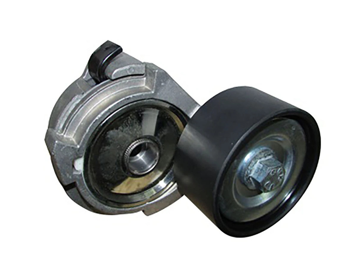 POLIA DO ESTICADOR DE CORREIA COM ROLAMENTO PLASTICA (9062002070_)