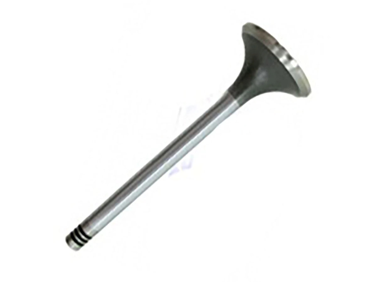 VALVULA ESCAPE MOTOR  MWM X10 E X12 (2RD109611.)