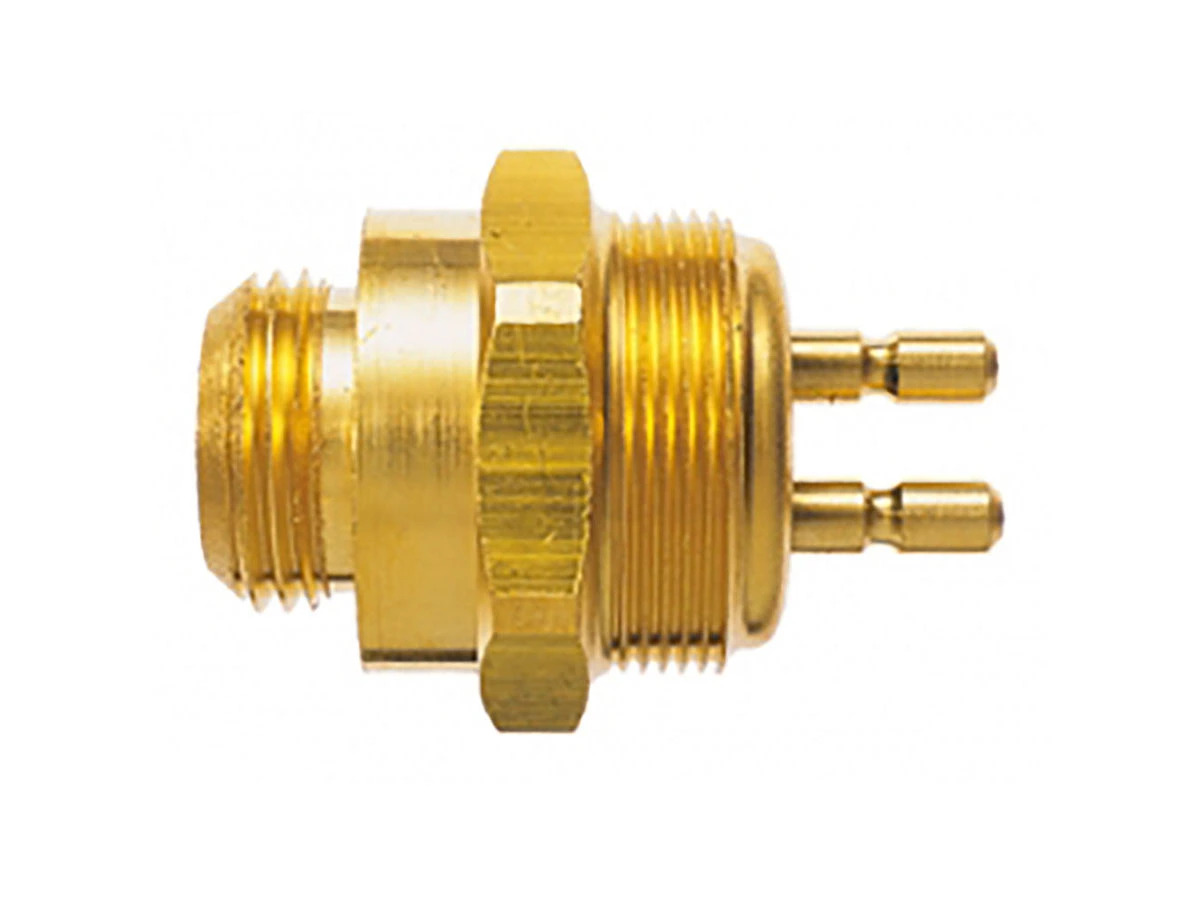 INTERRUPTOR LUZ DE RE (3445450106.)