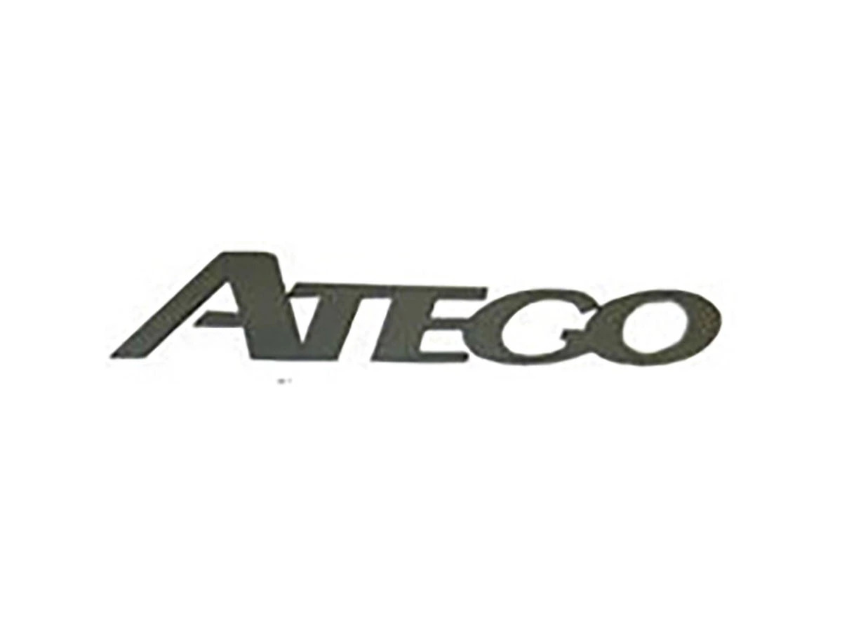 EMBLEMA FRONTAL ATEGO (9738170216|)