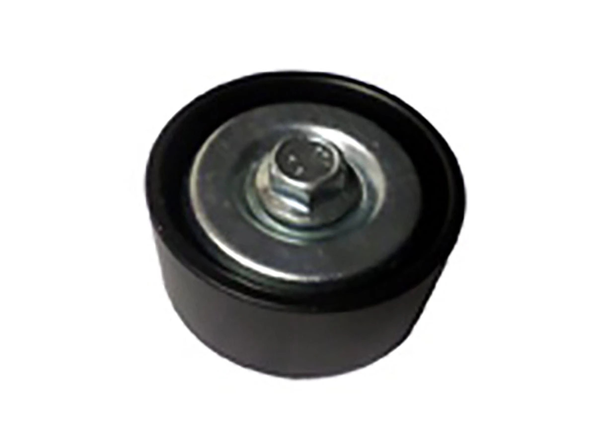 POLIA TENSORA CORREIA (FERRO) (2R0903119B|)