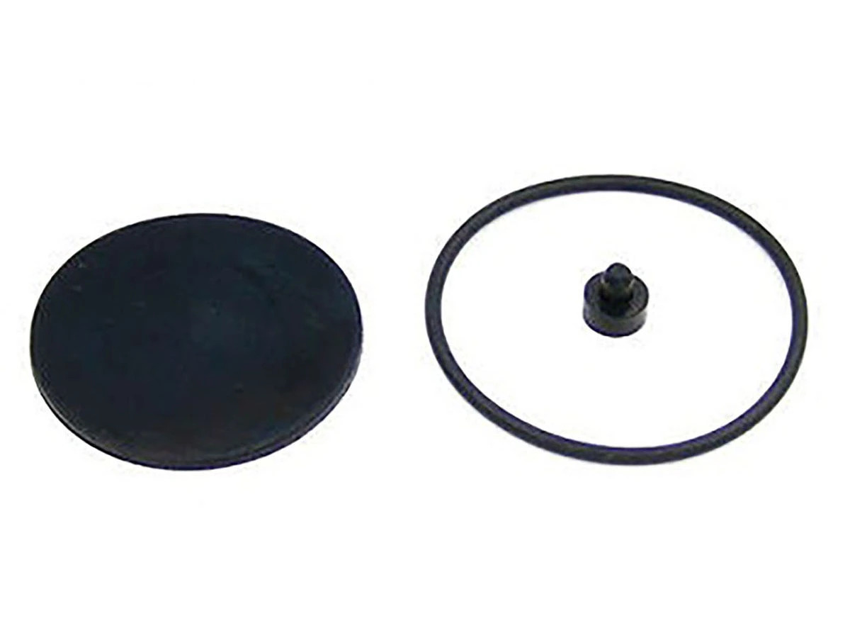 JG.REP.VALVULA DESCARGA (2RL698425_)