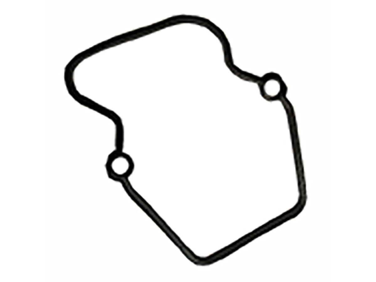 JUNTA TAMPA VALVULA PLASTICA BORRACHA (4570160121,)