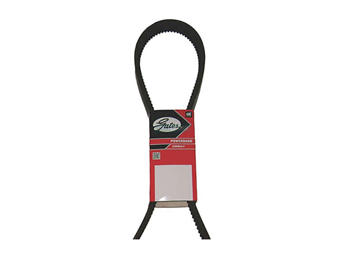 CORREIA V (0019970392)