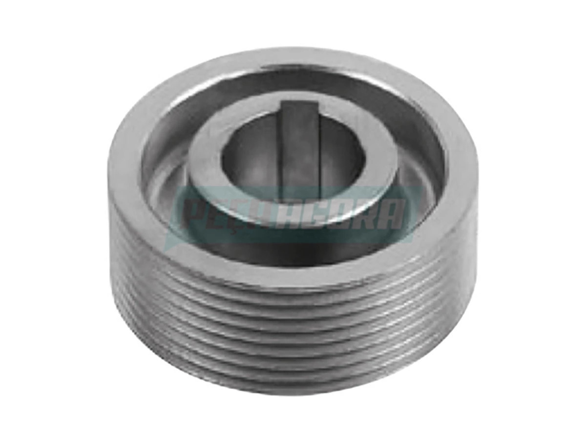 POLIA ALTERNADOR 8 CANAIS (F000LD1363)