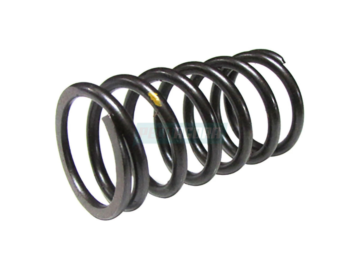 MOLA HELICOIDAL (2Z0301483A)