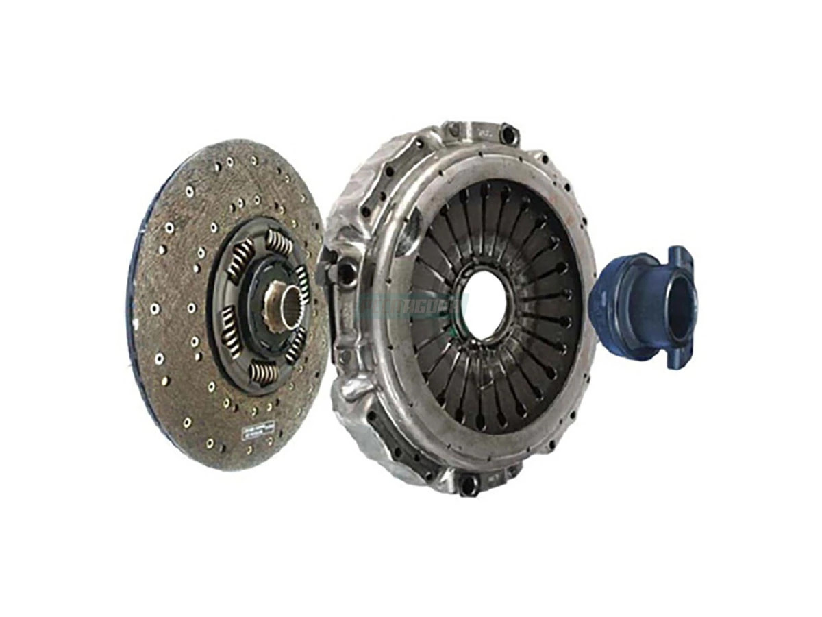 CARCACA NO ESTADO (6453C)