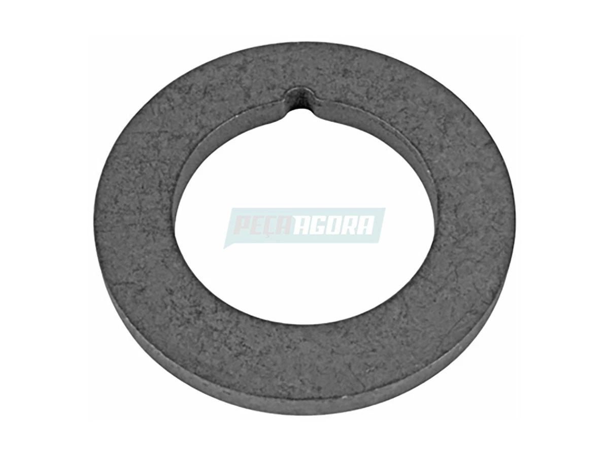 ARRUELA LOCADORA (T12312075A,)