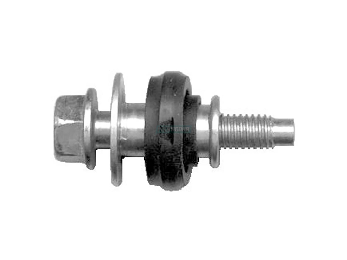 PARAFUSO COM ANEL VEDACAO TAMPA VALVULA MOTOR MAN D2676 (2V5103448C)