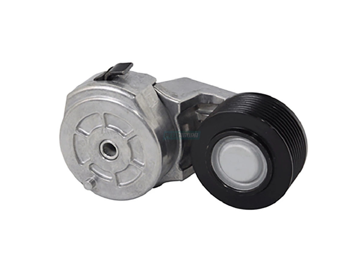 ESTICADOR CORREIA (2T2145299A-)