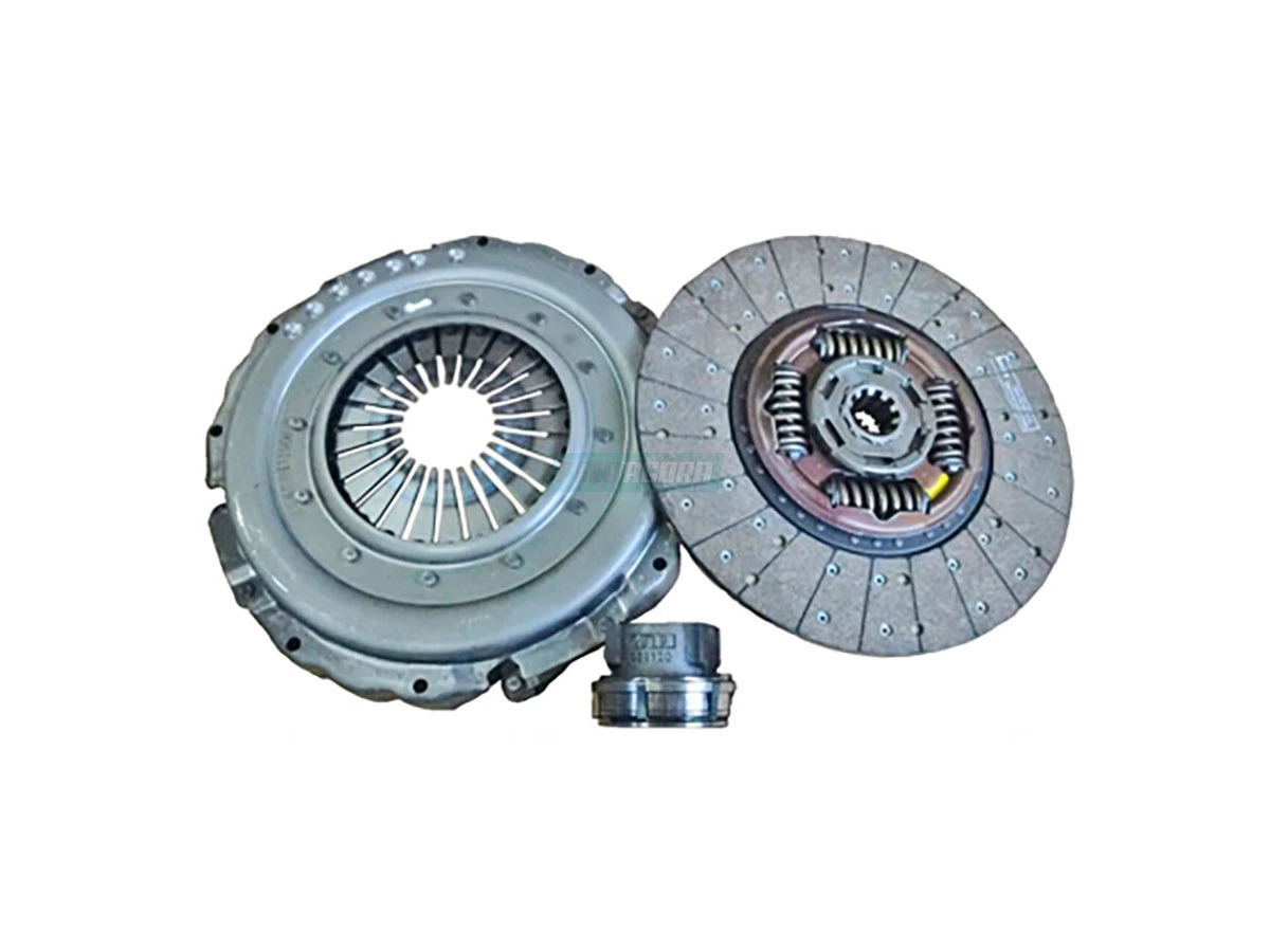 CARCACA NO ESTADO (6261C.)