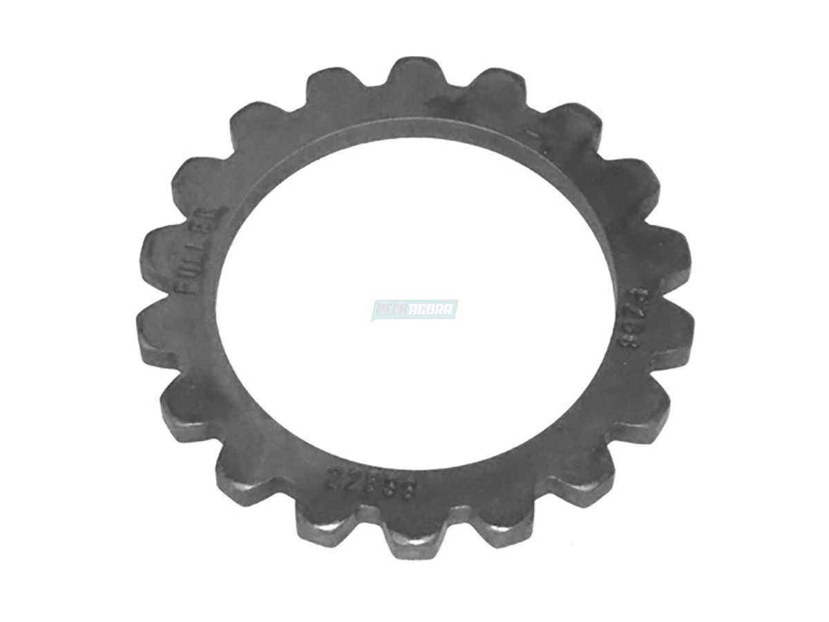 ARRUELA (2UU311307.)