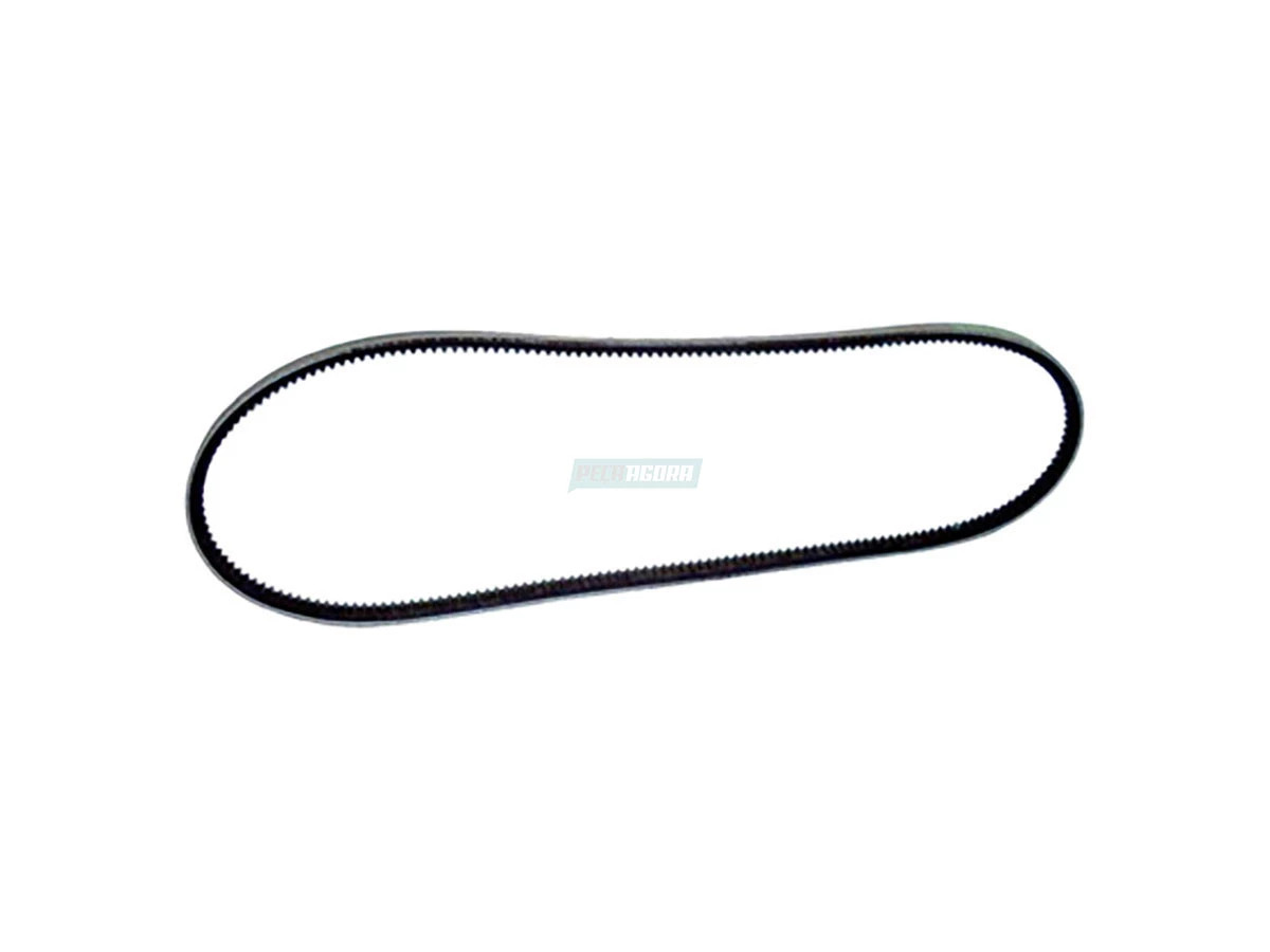 CORREIA V (0059971992_)