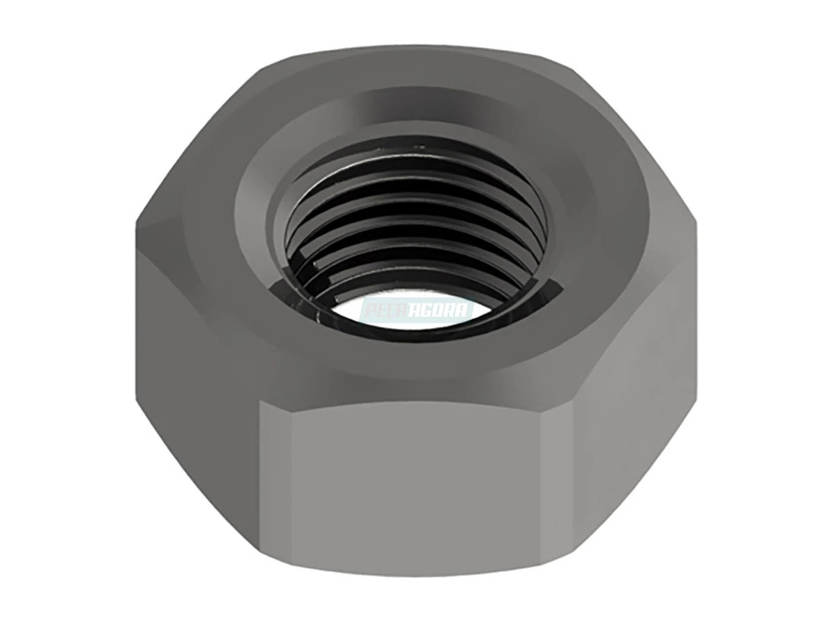 PORCA SEXTAVADA 6MM PASSO 1,00 (N011006.8)