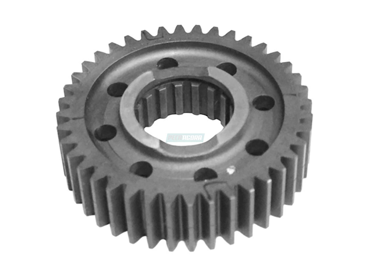 ENGRENAGEM (TJG311259C_)